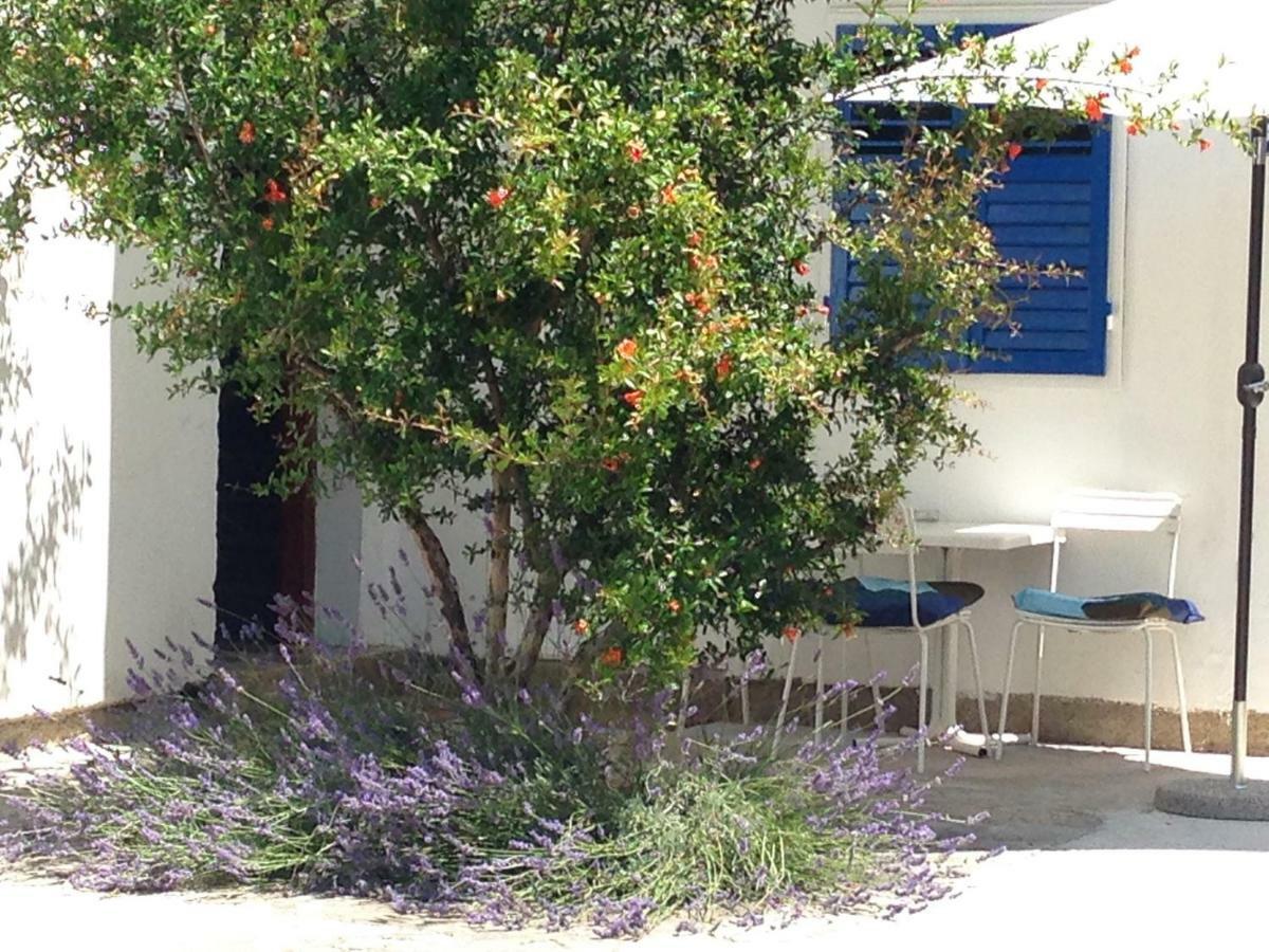 Studio Apartment Blue Window Biograd Na Moru Exterior photo